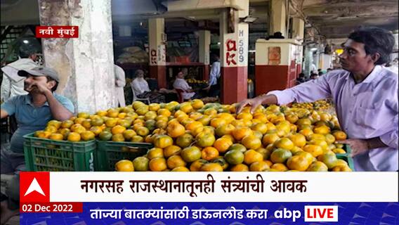 Vashi APMC Market : वाशी एपीएमसी मार्केटमध्ये संत्र्याची आवक वाढली