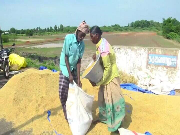 pudukottai: grain warehouse should be set up to protect paddy bells  Farmers' demand TNN புதுக்கோட்டை: நெல் மணிகளை பாதுகாக்க தானிய கிடங்கு அமைக்க வேண்டும் - விவசாயிகள் கோரிக்கை