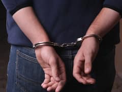 Days After Shraddha Murder Case, Man Kills Live-In Partner In Delhi's Tilak Nagar