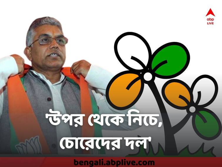 dilip ghosh attacks sovandeb chattopadhya, saying TMC a party of thieves Dilip Ghosh : 'উপর থেকে নিচে, চোরেদের দল',  দিলীপের ঝাঁঝালো আক্রমণ