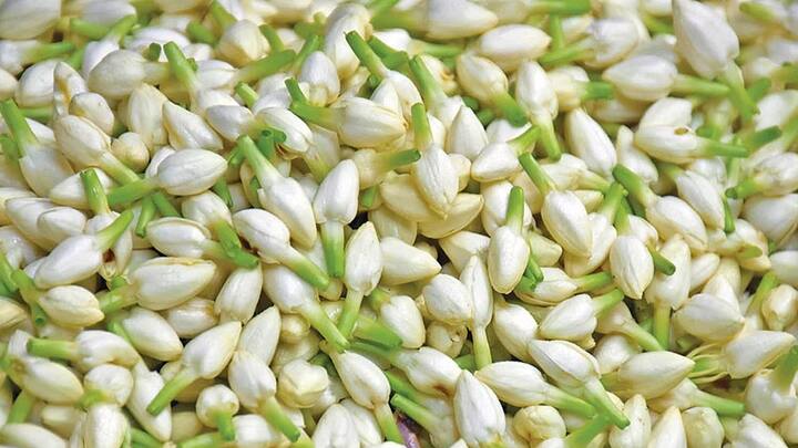 நேற்று கன்னியாகுமரி மாவட்டத்தில் தோவாளை பூ மார்க்கெட்டில் ஒரு கிலோ மல்லிகைப் பூ ரூபாய் 1,500க்கு விற்பனை செய்யப்பட்டது