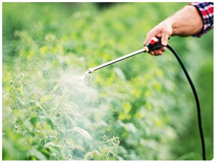 कीटनाशक: विदेशों में का कार्बेरिल, मैलाथियान, एसेफेट, क्विनालफॉस, डायमेथोएट, क्लोरपाइरीफॉस, लिंडेन फॉस्फैमिडोन, कार्बेन्डाजिम जैसे करीब 60 ऐसे कीटनाशकों पर पूर्ण रूप से प्रतिबंध है. लेकिन, अच्छी फसल, अधिक उत्पादन और फसलों को कीड़ों से बचाने के लिए भारत में ये खुलेआम बेचे जाते हैं.