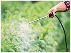 भारत में धड़ा-धड़ बिकते हैं ये प्रोडक्ट्स, लेकिन विदेशों में हैं बैन! जानिए क्या है वजह