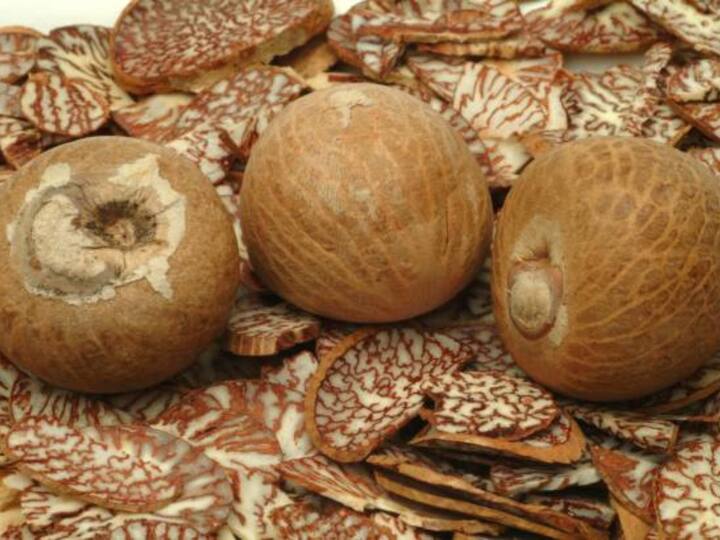Rs 16.5 Lakh Cash, Betel Nuts Worth Rs 11.5 Crore Seized In ED Raids Across Mumbai, Nagpur Rs 16.5 Lakh Cash, Betel Nuts Worth Rs 11.5 Crore Seized In ED Raids Across Mumbai, Nagpur