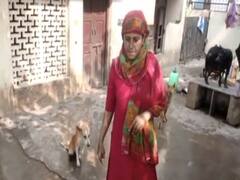 आवारा कुत्तों का झगड़ा इंसाफ के लिए मेनका गांधी की चौखट तक पहुंचा, लोगों ने की प्रशासन से शिकायत