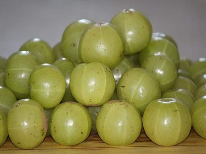 Amla is useful for diabetic patients just avoid eating it at this time Amla Benefits in Diabetes: डायबिटीज के मरीजों के लिए आंवला है काम की चीज, बस इस समय खाने से करें परहेज