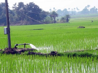 Anand: ખેડૂતોની આવક બમણી કરવા સરકારની પહેલ, આણંદ કૃષિ યુનિવર્સિટીના 11 વૈજ્ઞાનિકો તાલીમ માટે જશે વિદેશ