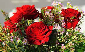 गुलाब फूल- सपने में गुलाब फूल देखना बहुत ही शुभ माना गया है. यह इस बात का संकेत है कि आपके जीवन में सकारात्मक बदलाव होने वाले हैं. यदि आपको सपने में लाल गुलाब दिखाई दे तो समझिए आपकी कोई मनोकामना जल्द पूरी होने वाली है.