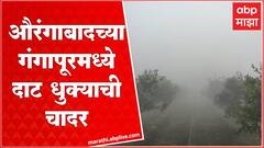Aurangabad : औरंगाबादमध्ये दाट धुक्याची चादर, रब्बी पिकांवर परिणाम होण्याची शक्यता
