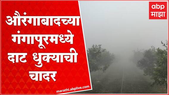 Aurangabad : औरंगाबादमध्ये दाट धुक्याची चादर, रब्बी पिकांवर परिणाम होण्याची शक्यता