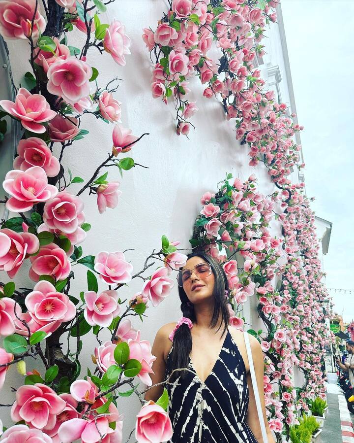 જ્યારે આ પહેલા પણ તેણે ફૂલોની વચ્ચે પોઝ આપતી વખતે તેની આ તસવીરો શેર કરી હતી. જેમાં તે બ્લુ ડ્રેસમાં જોવા મળી રહી છે.