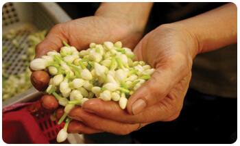 தேனி மாவட்ட ஆண்டிபட்டி பூ மார்க்கெட்டில் ஒரு கிலோ மல்லிகைப் பூ கிலோ ரூபாய் 5 ஆயிரத்துக்கு விற்பனை செய்யப்படுகிறது