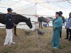 भोपाल में रफ्तार का रोमांच 12 दिसंबर से, जूनियर नेशनल घुड़सवारी चैंपियनशिप में दौड़ेंगे 200 घोड़े