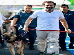 Bharat Jodo Yatra Images: ஒற்றுமைப் பயணத்தில் ராகுல் காந்தியுடன் ஜெர்மன் செபர்டு நாய்...வைரலாகும் புகைப்படங்கள்...