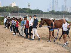 'Sense Of Direction And Clarity While Riding': How Horses Can Teach Us Intelligence And Effective Leadership Qualities