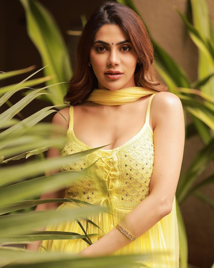 साऊथ चित्रपटांमधून आपल्या अभिनय कारकिर्दीला सुरुवात करणारी अभिनेत्री निक्की तांबोळी आता कोणत्याही ओळखीवर अवलंबून नाही.(फोटो सौजन्य :nikki_tamboli/इंस्टाग्राम )