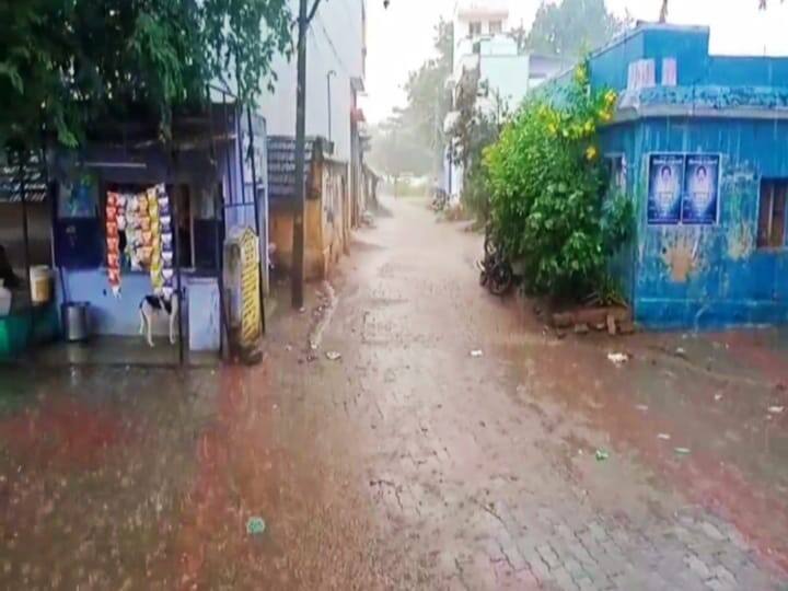 The incident of cows being killed by lightning has caused tragedy Madurai: வயலில் கட்டப்பட்டிருந்த மாடுகள்..! மின்னல் தாக்கி சம்பவ இடத்திலே பலியான பரிதாபம்...!