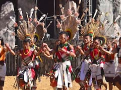 Watch: Guitar Rendition Of National Anthem At Nagaland's Hornbill Festival