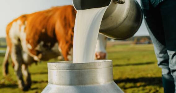 जागतिक दूध उत्पादनात भारताचा 23 टक्के वाटा