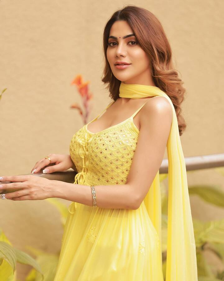 अभिनेत्रीला आता सातत्याने अनेक प्रोजेक्ट्सच्या ऑफर्स येत आहेत.(फोटो सौजन्य :nikki_tamboli/इंस्टाग्राम )