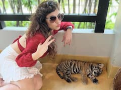 Sherin Shringar: புலியுடன் தாய்லாந்தில் டூர்... ஷெரின் கலக்கல் ஃபோட்டோஸ்!