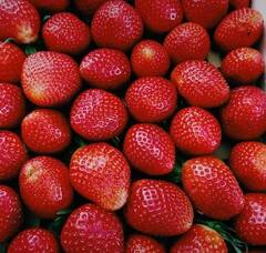 हिवाळ्यात 'स्ट्रॉबेरी' पिकातून मिळवा लाखोंचा नफा