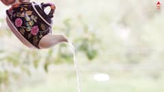 Digestion Tips: বিয়ের মরসুমে পরপর ভুরিভোজ ? রইল শরীর ঠিক রাখার ঘরোয়া টোটকা