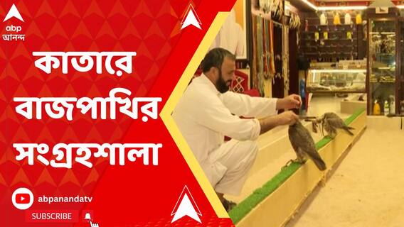 কাতারে বাজপাখির সংগ্রহশালা, ভিড় জমাচ্ছেন বিশ্বকাপ দেখতে আসা দর্শকরা