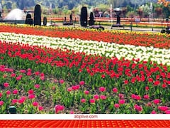Famous Gardens: कुछ वक्त सुकून चाहते हैं तो घूमने के लिए ये गार्डन्स हैं बेस्ट ऑप्शन, फोटो देखकर जाने का मन करेगा