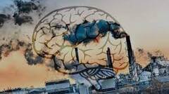 Air Pollution : ਮੁੱਖ ਤੌਰ 'ਤੇ ਫੇਫੜਿਆਂ ਤੇ ਦਿਮਾਗ 'ਤੇ ਅਸਰ ਕਰਦੈ ਹਵਾ ਪ੍ਰਦੂਸ਼ਣ, ਕਰੋ ਬਚਾਅ