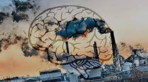 ਇਸ ਕਾਰਨ ਤੰਤੂ ਰੋਗਾਂ ਤੋਂ ਇਲਾਵਾ ਸਾਹ ਪ੍ਰਣਾਲੀ, ਕਾਰਡੀਓ ਵੈਸਕੁਲਰ ਰੋਗ, ਦਿਮਾਗ ਦੀਆਂ ਬਿਮਾਰੀਆਂ ਦੇਖਣ ਨੂੰ ਮਿਲੀਆਂ। ਇਨ੍ਹਾਂ ਵਿੱਚ ਡਿਪਰੈਸ਼ਨ, ਚਿੰਤਾ ਸ਼ਾਮਲ ਸਨ।