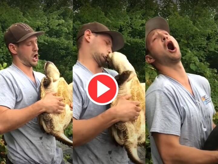 Funny Video: कछुए को किस करने लगा शख्स, जब उसने 'पप्पी' ली तो आंखें ही बाहर आ गईं Wild Animal Funny Video Today Man Tried to Kiss Snapping Turtle But See What Happen Next Funny Video: कछुए को किस करने लगा शख्स, जब उसने 'पप्पी' ली तो आंखें ही बाहर आ गईं