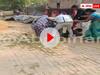 Arrah Crime: पिस्तौल के बल पर लाठी-डंडे से बिल्डर और उसके परिवार वालों की पिटाई, सोशल मीडिया पर वीडियो वायरल