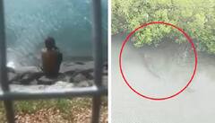 Shocking: ਇੱਕ ਹੀ ਝਟਕੇ 'ਚ ਬੱਚੇ ਨੂੰ ਪਾਣੀ 'ਚ ਲੈ ਗਿਆ ਮਗਰਮੱਛ, ਕਿਸ਼ਤੀ 'ਤੇ ਬੈਠਾ ਰਹਿ ਗਿਆ ਪਿਤਾ