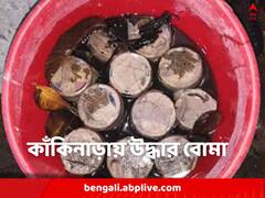 কাঁকিনাড়া থেকে উদ্ধার বোমা, রাজ্যের আরও একাধিক জায়গায় অস্ত্রের খোঁজ