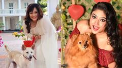 Pet Calendar: আদুরে পোষ্যদের নিয়ে ফ্রেমবন্দি টলিপাড়া, নতুন বছরে চমক চিরঞ্জিৎ, শ্রীলেখা, দেবলীনাদের