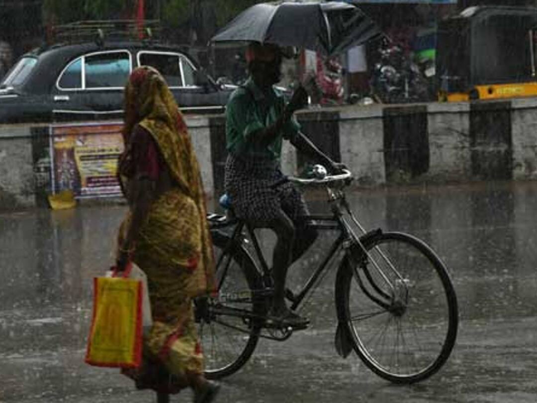 Tamil Nadu Weather Update rain next 3 hours Tiruvallur New Low-Pressure Wind in Bay Of Bengal Away From Chennai - IMD Rain Alert: அடுத்த 3 மணி நேரம்..! எங்கெல்லாம் மழைக்கு வாய்ப்பு..? குடையுடன் போங்க..