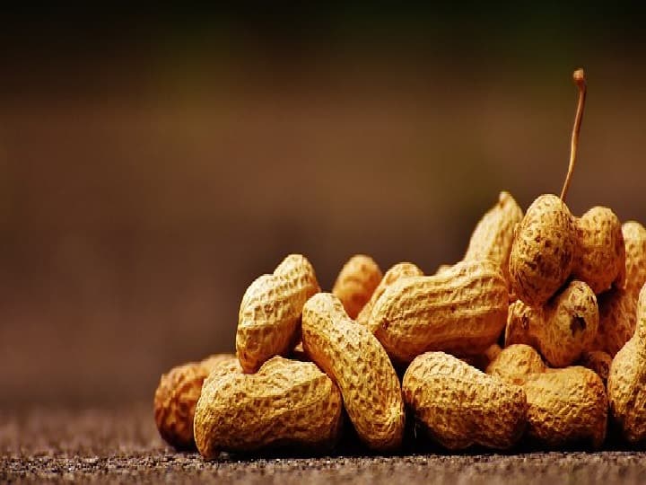 Side Effects of Peanuts Many peanuts are chewed together in winter may be problem high blood pressure Side Effects of Peanuts: सर्दियों में मूंगफली खाना पसंद है? मगर थोड़ा संभलकर, वरना ये समस्या हो जाएंगी शुरू