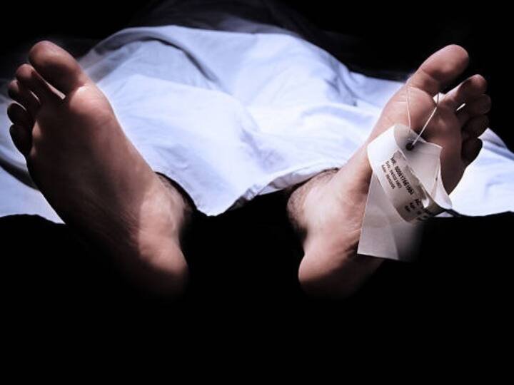 Greater Noida: ग्रेटर नोएडा के गत्ता गोदाम में आग लगने से दो लोग बुरी तरह झुलसे, इलाज के दौरान मौत Greater Noida Two people badly burnt due to fire paper godown died during treatment Greater Noida: ग्रेटर नोएडा के गत्ता गोदाम में आग लगने से दो लोग बुरी तरह झुलसे, इलाज के दौरान मौत