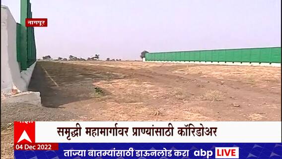 Nagpur Over Bridge : समृद्धी महामार्गावर वन्य प्राण्यांसाठी ओवर ब्रिज, अंडरपासेस मार्ग