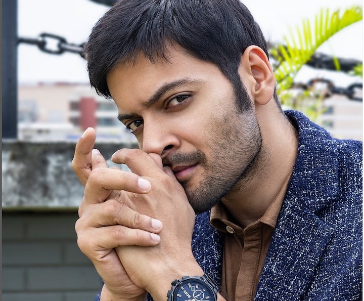 मिर्झापूरमध्ये गुड्डू पंडित ही भूमिका साकारणारा अभिनेता अली फजल याची 23 कोटींची एकूण संपत्ती आहे.