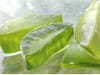 Aloe Vera Benefits: கற்றாழையில் இவ்வளவு நன்மைகள் இருக்கா? கற்றாழையின் பயன்கள் என்ன?