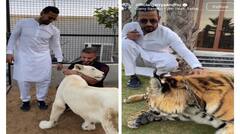 Garry Sandhu: ਗੈਰੀ ਸੰਧੂ ਨੇ ਦੁਬਈ ‘ਚ ਸ਼ੇਰਾਂ ਨਾਲ ਕੀਤੀ ਖੂਬ ਮਸਤੀ, ਵੀਡੀਓ ਕੀਤਾ ਸ਼ੇਅਰ