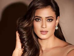 भोजपुरी सिनेमा के इस नामी सितारे के साथ जुड़ा था श्वेता तिवारी का नाम, बिग बॉस में भी उड़ी थीं अफेयर की खबरें