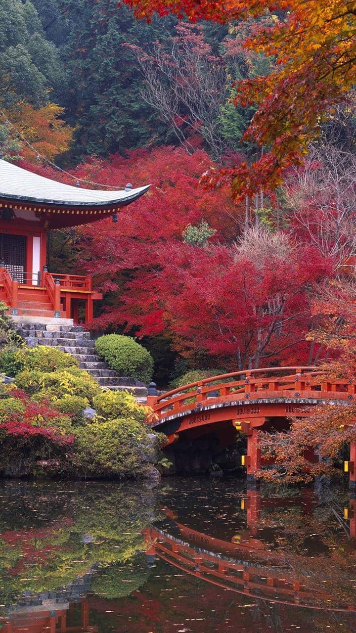 டைகோ-ஜி, ஜப்பான்