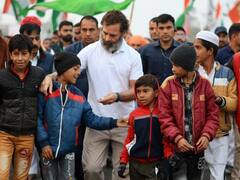 'अन्य टाइगर रिजर्व की तरह विकसित हो मुकुंदरा टाइगर रिजर्व', राहुल गांधी से मुलाकात करेगा प्रतिनिधिमंडल