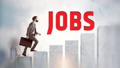 Jobs: ​​NHAIમાં મોટી ભરતી, જાણો કેટલા પદો પર બહાર પડી છે ભરતી, ને કઇ રીતે કરી શકાશે અરજી