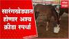 Nandurbar : Sarangkheda येथील चेतक फेस्टिवलमध्ये अश्व क्रीडा स्पर्धा, तयारी पूर्ण