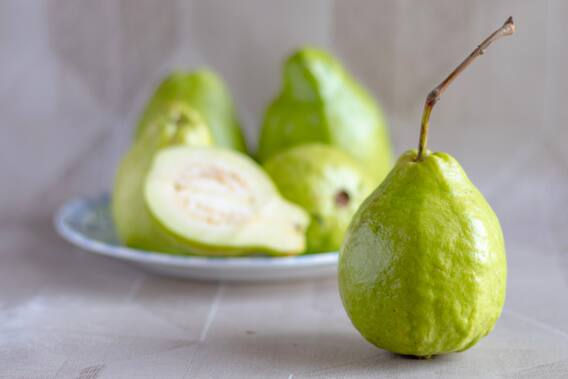 Guava Side Effects: अमरूद के सेवन से बिगड़ सकती हैं ये बीमारियां; पता लगाना! Guava Side Effects: अमरूद के सेवन से बिगड़ सकती हैं ये बीमारियां; पता लगाना!