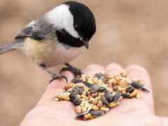 Morning Tips: हर सुबह इस काम से करेंगे शुरुआत, तो जीवन होगा खुशहाल